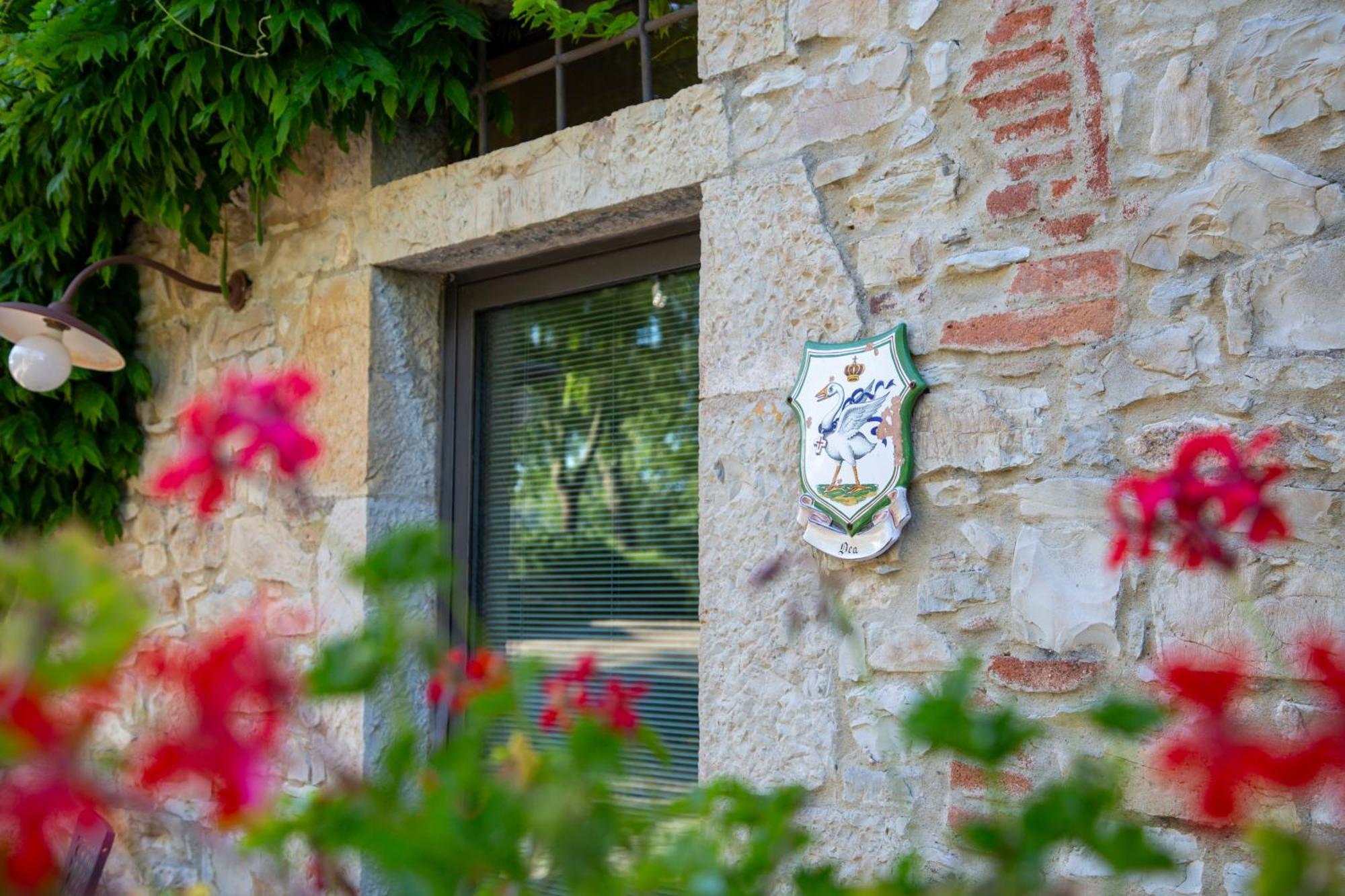 Colombaio Di Cencio Lägenhet Gaiole in Chianti Exteriör bild